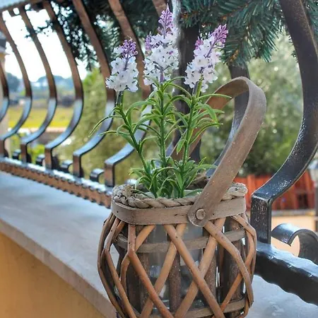 Appartamento Miriale House Aeroporto *