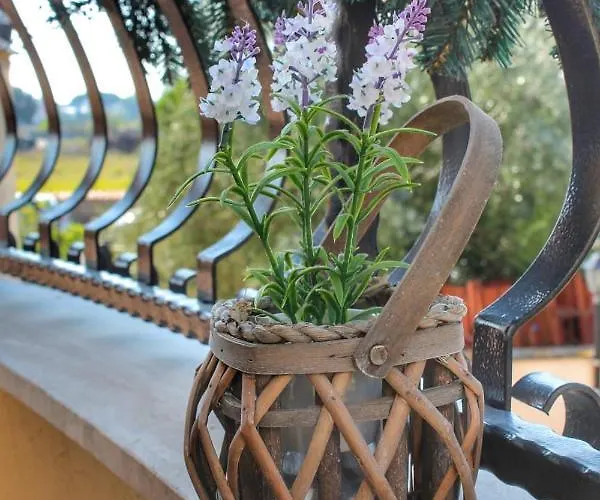 Апартаменты Miriale House Aeroporto *